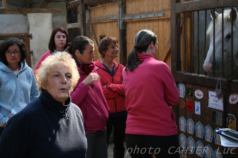 IMG-8410.JPG