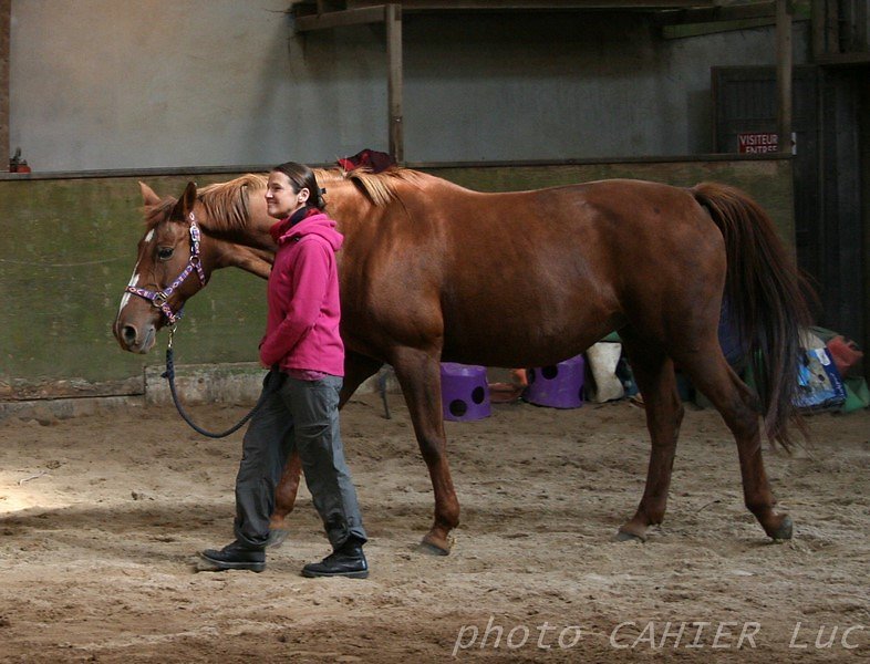 IMG-8424.JPG