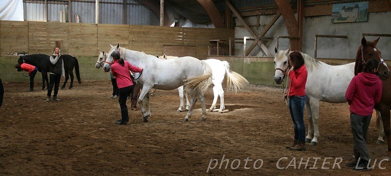 IMG-8425.JPG