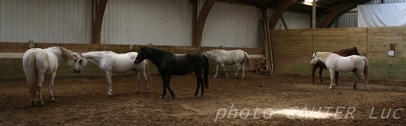IMG-8426.JPG