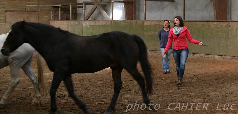IMG-8469.JPG
