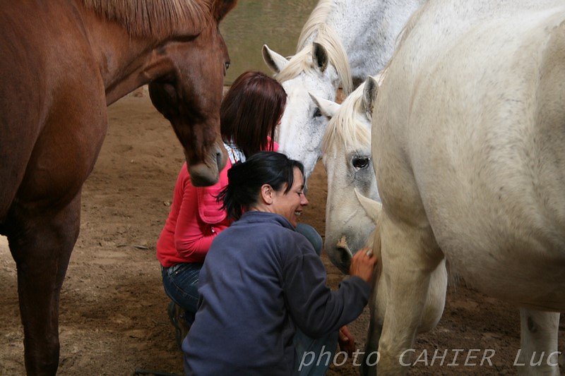 IMG-8472.JPG