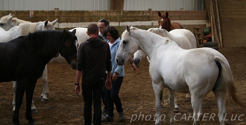 IMG-8480.JPG