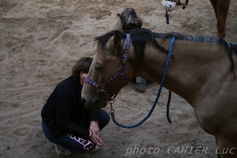 IMG-8481.JPG