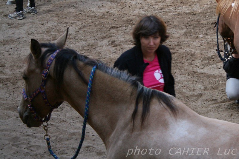 IMG-8483.JPG