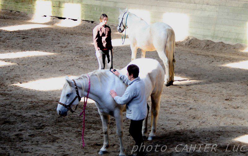 IMG-8484.JPG