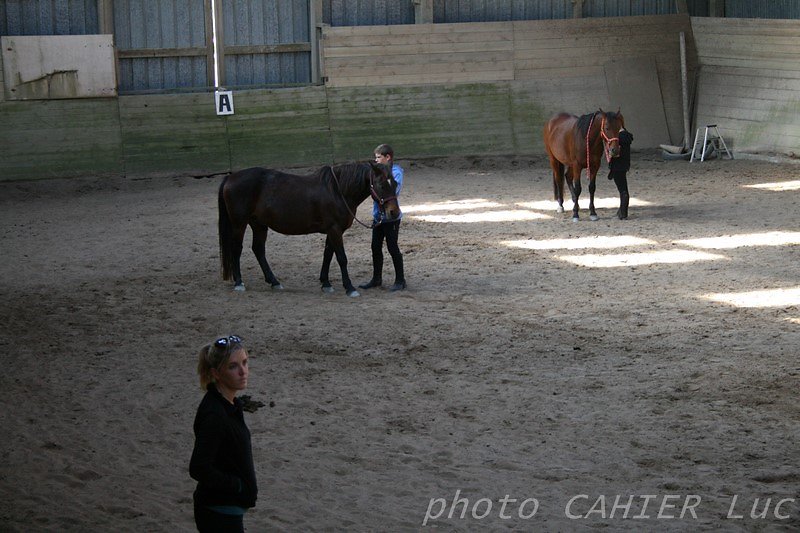 IMG-8489.JPG