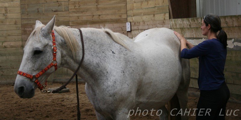 IMG-8498.JPG