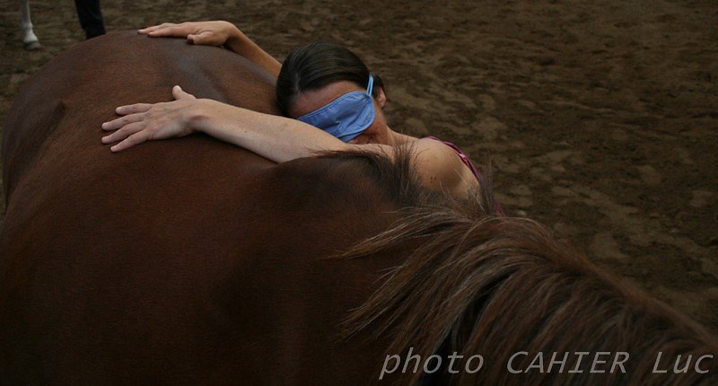 IMG-8516.JPG