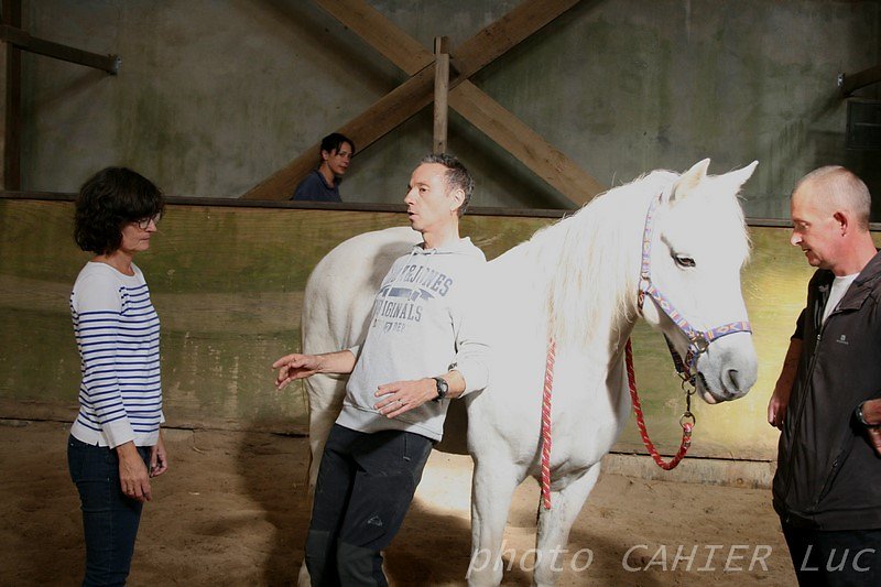 IMG-8534.JPG