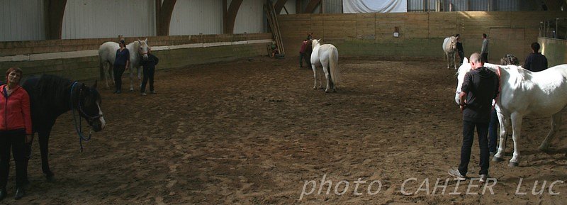 IMG-8539.JPG