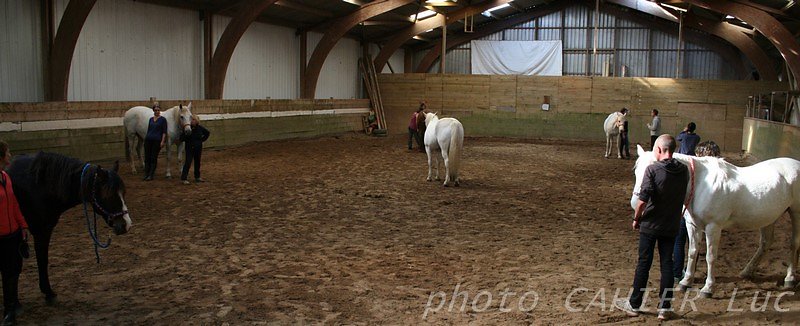 IMG-8540.JPG