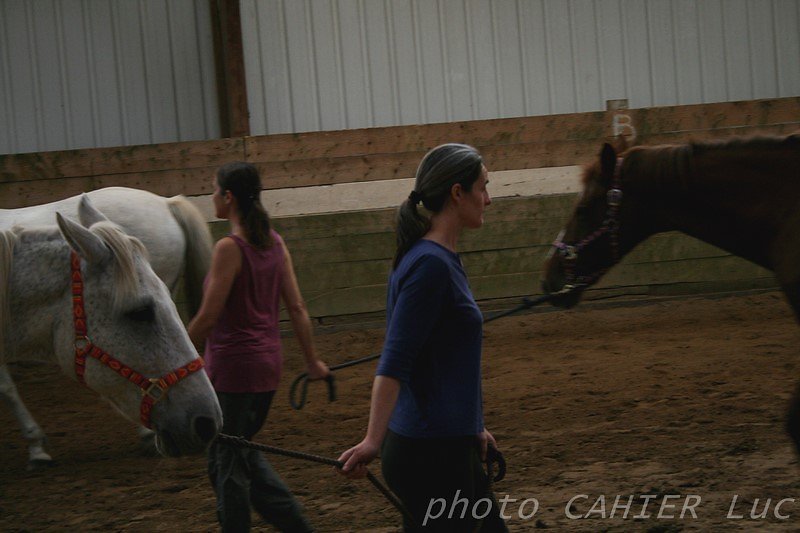 IMG-8544.JPG