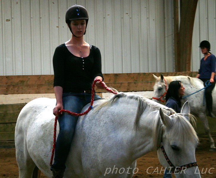 IMG-8572.JPG