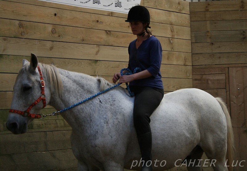 IMG-8584.JPG