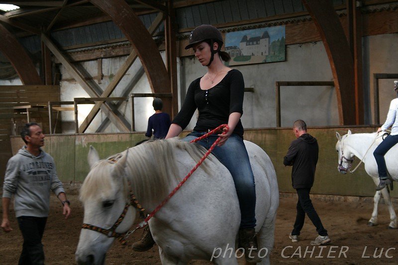 IMG-8594.JPG