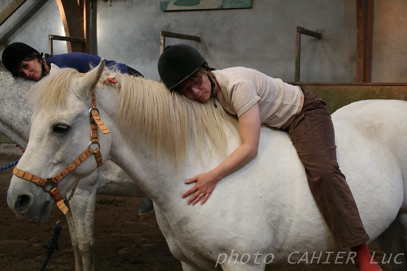 IMG-8618.JPG