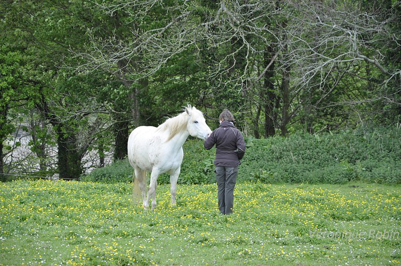 DSC0001.JPG