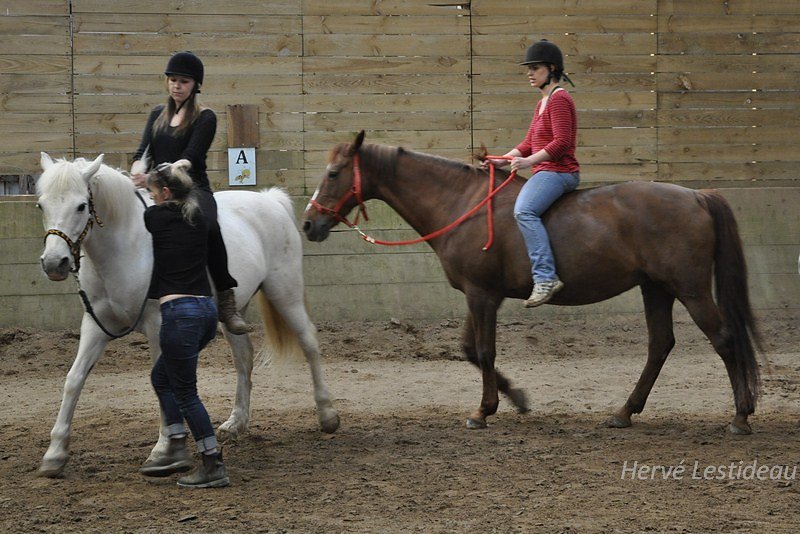 DSC3273.JPG