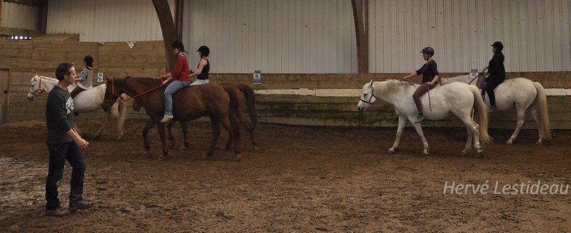 DSC3279.JPG