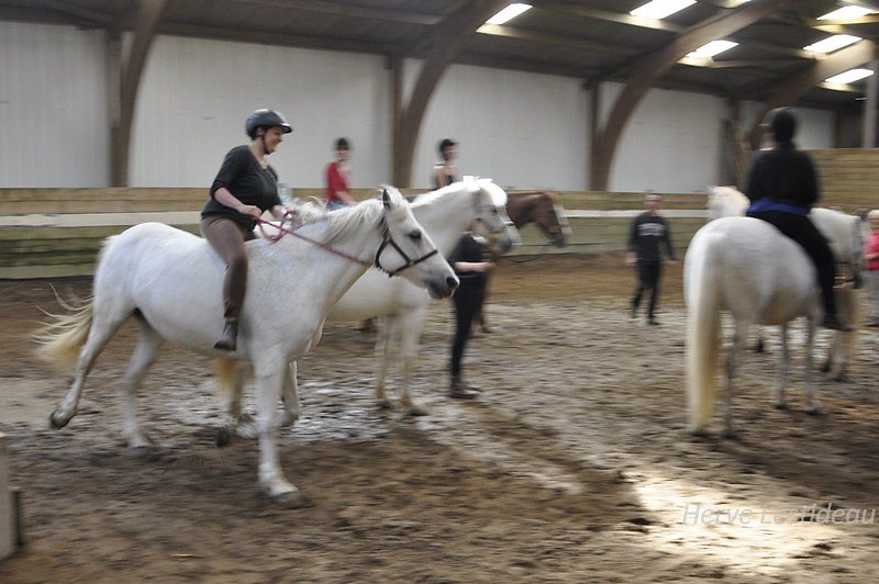 DSC3315.JPG
