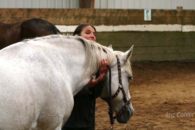 IMG-0117.jpg