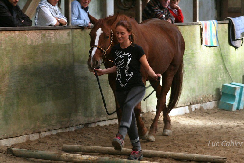 IMG-0126.jpg