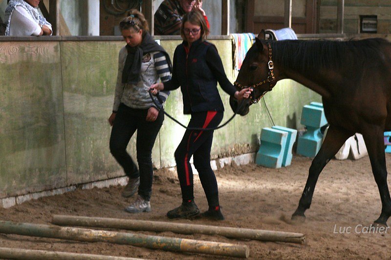 IMG-0134.jpg