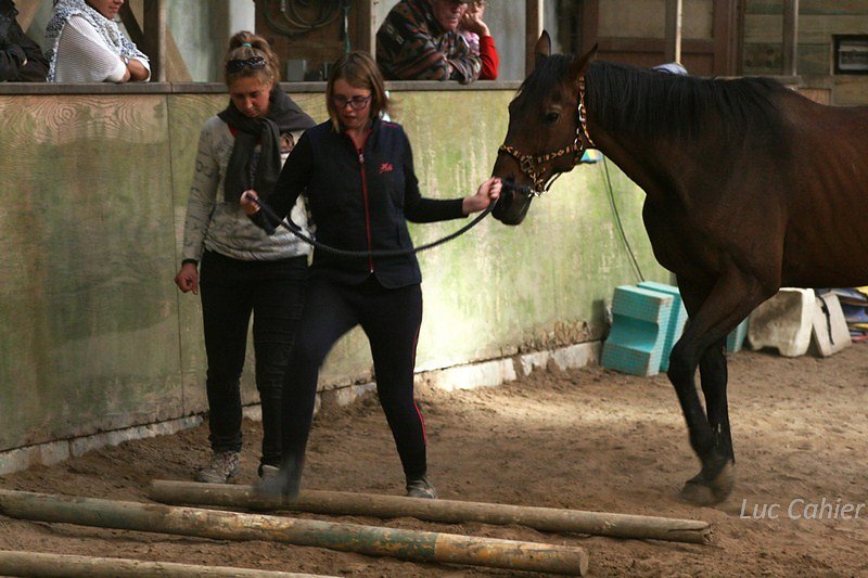 IMG-0135.jpg