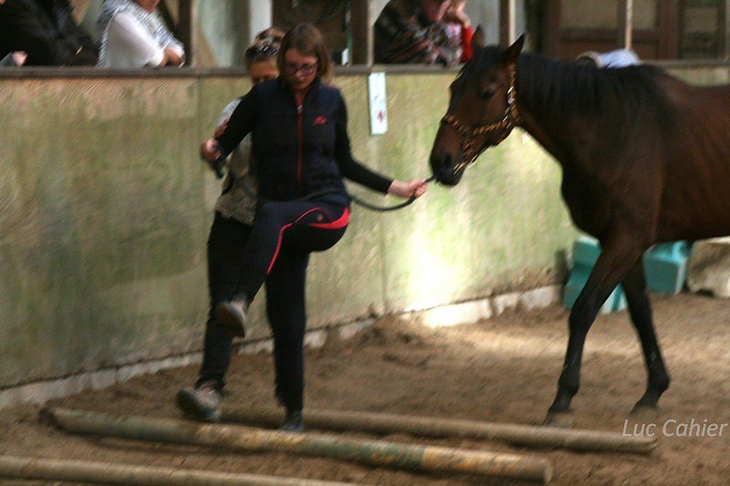 IMG-0136.jpg