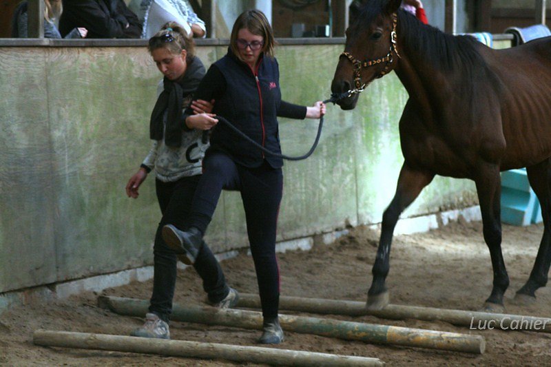 IMG-0137.jpg