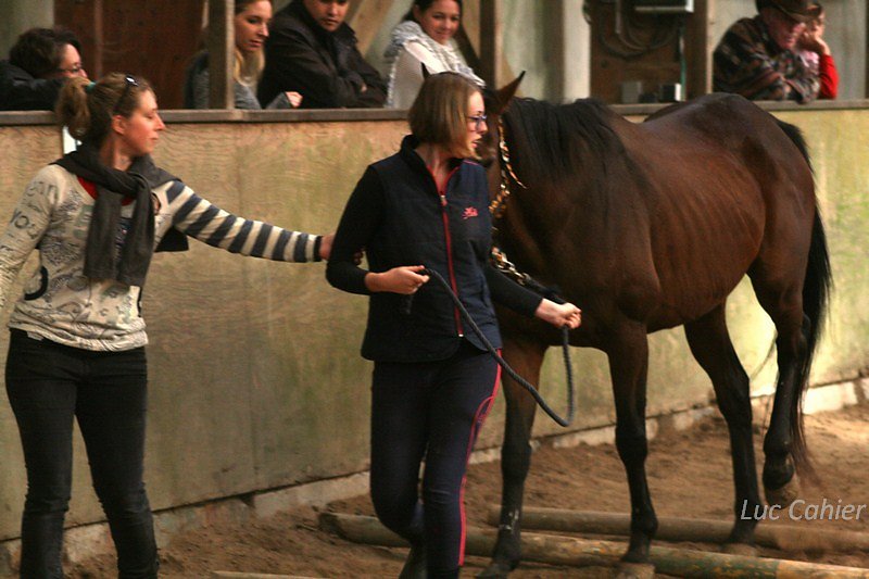 IMG-0138.jpg