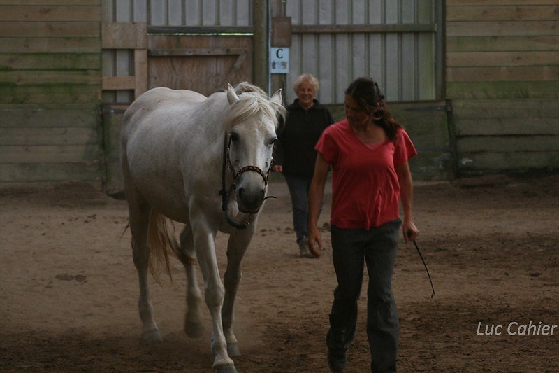 IMG-0170.jpg