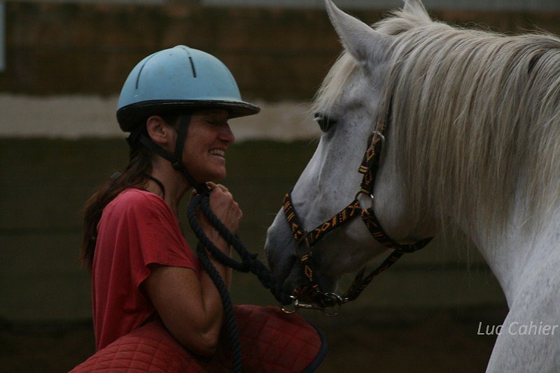 IMG-0244.jpg
