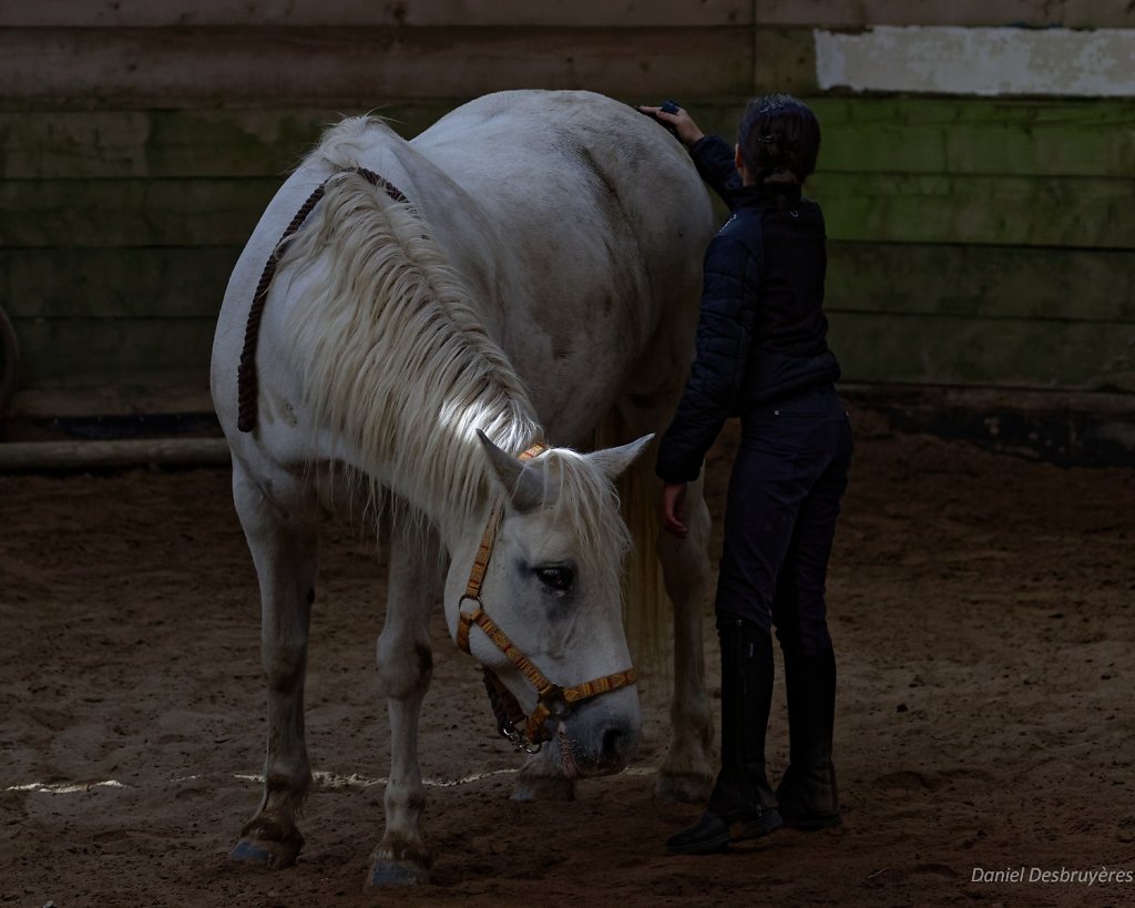 FR5A8700-DxO.jpg