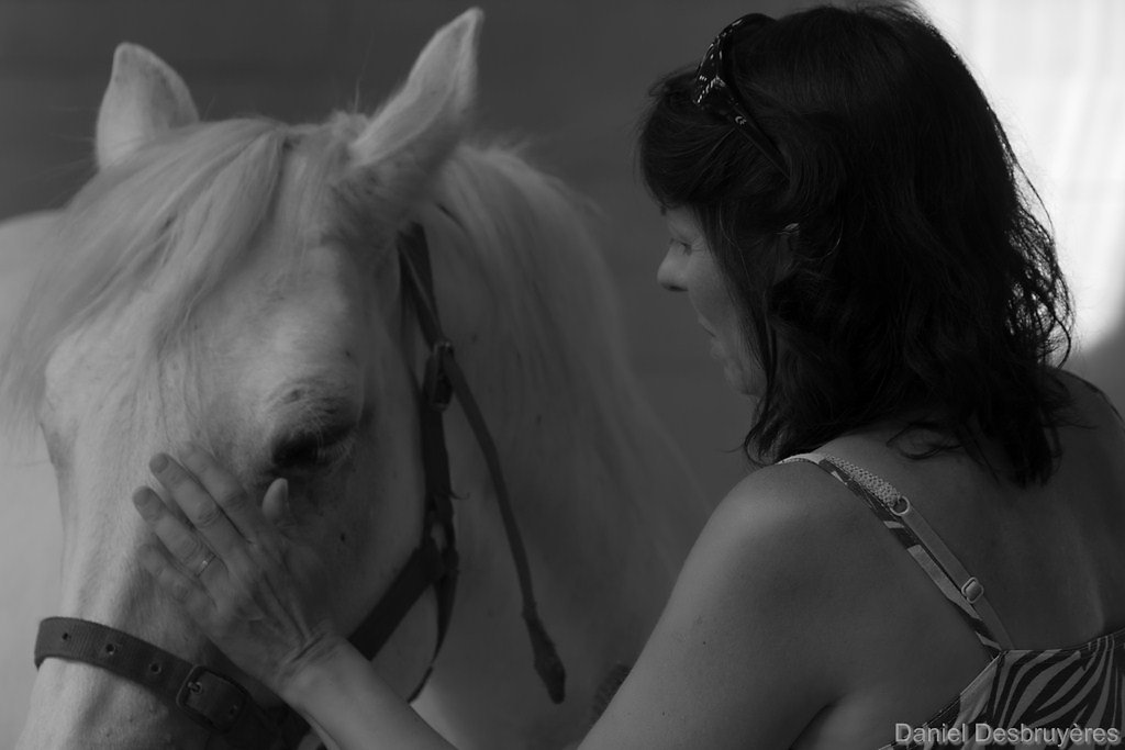 FR5A1137-DxO-Modifier.jpg