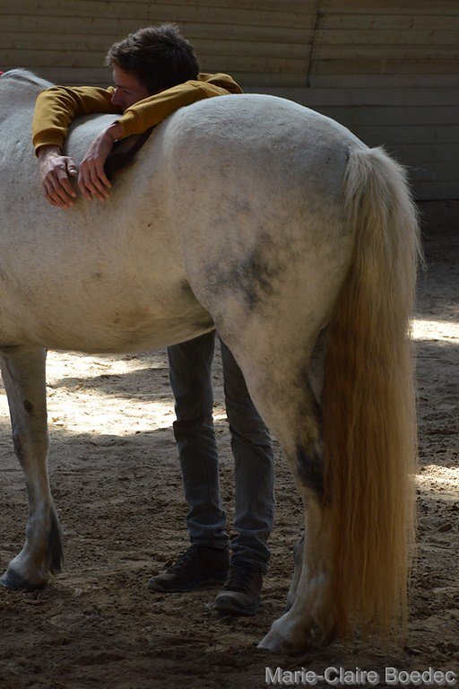 DSC-0465.JPG