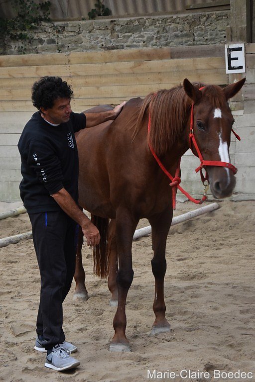 DSC-0347.JPG