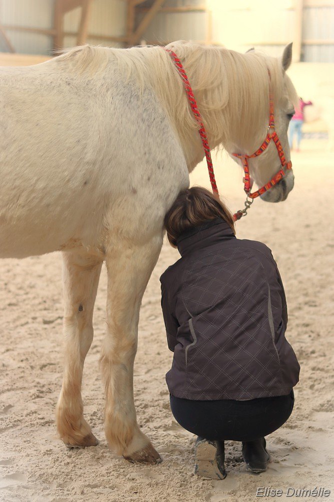 IMG-9852.jpg
