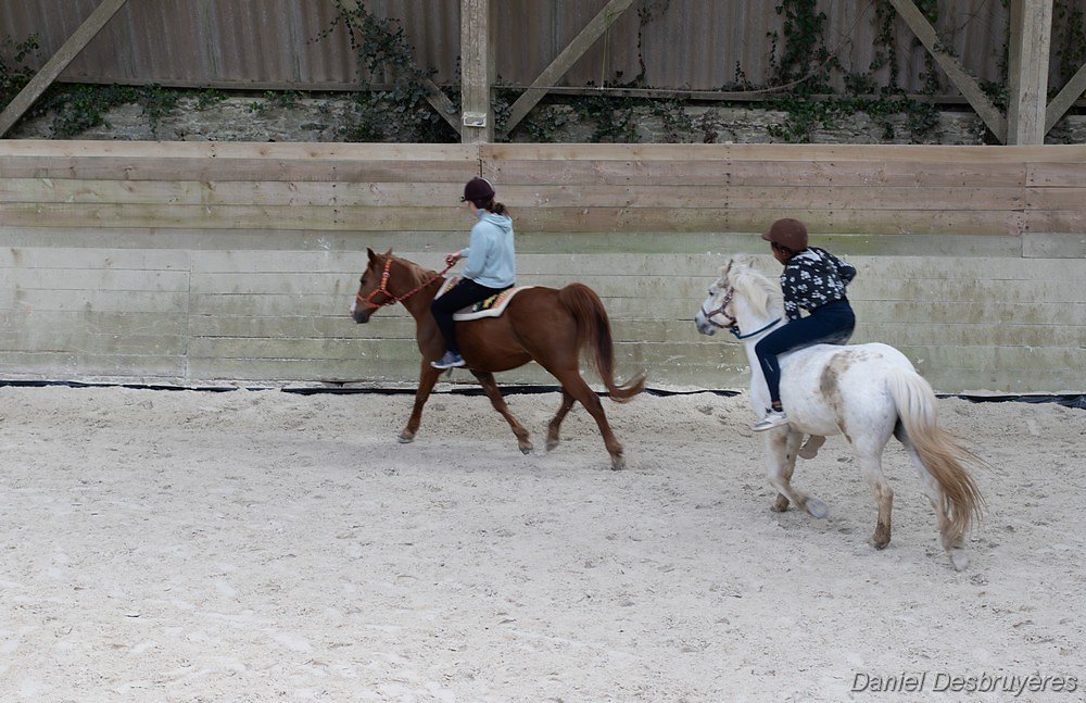 7G7A8924-Avec-accentuation-Bruit.jpg