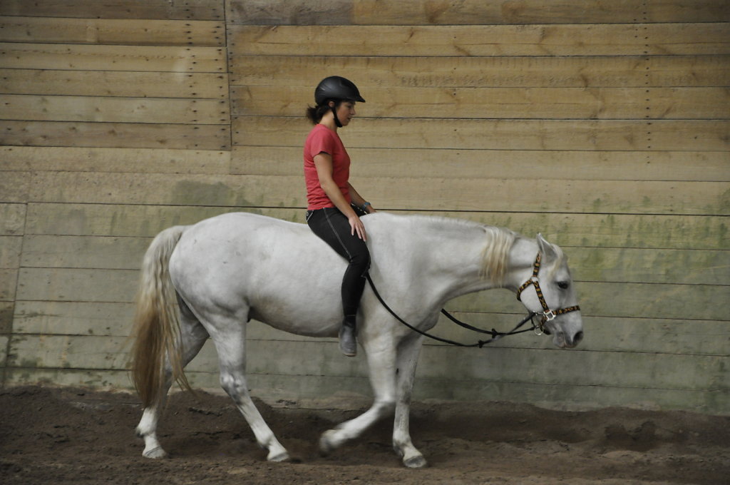 DSC9555.JPG