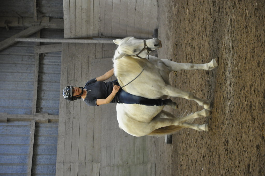 DSC9557.JPG