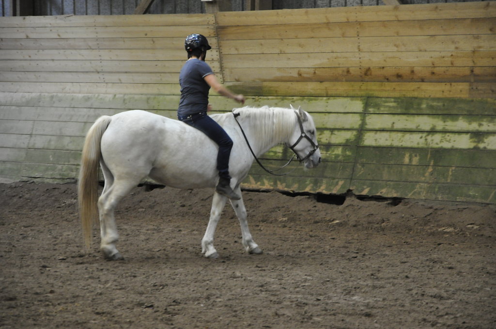 DSC9567.JPG