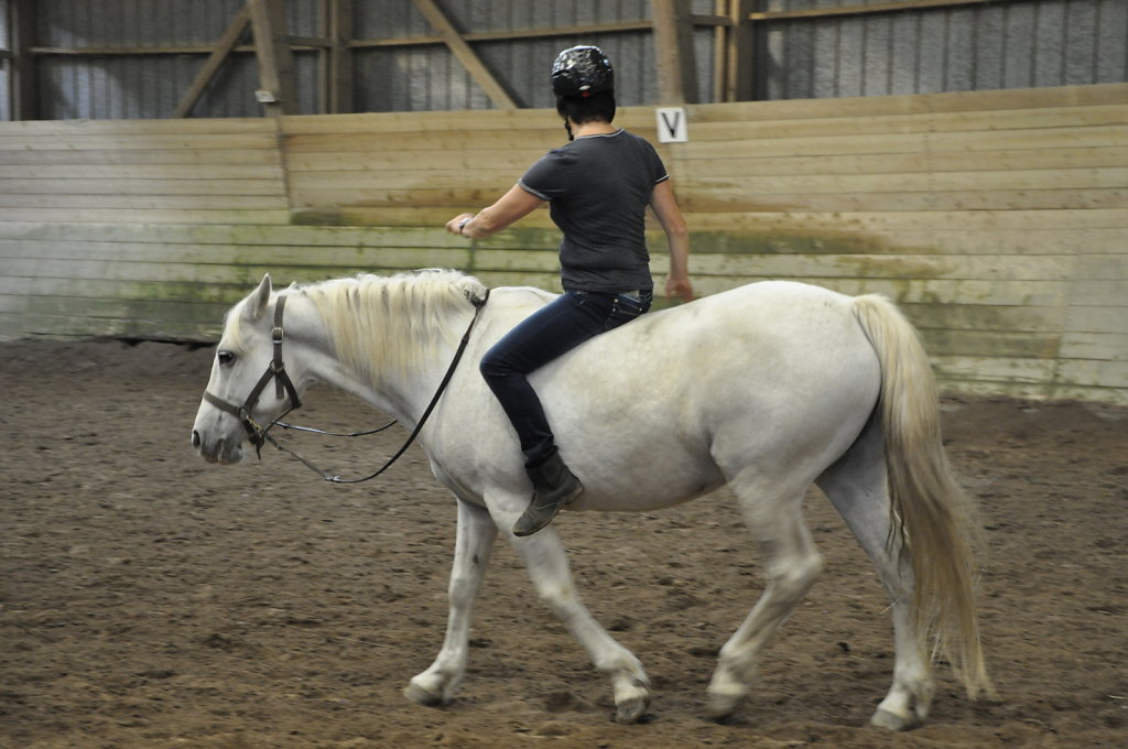 DSC9575.JPG