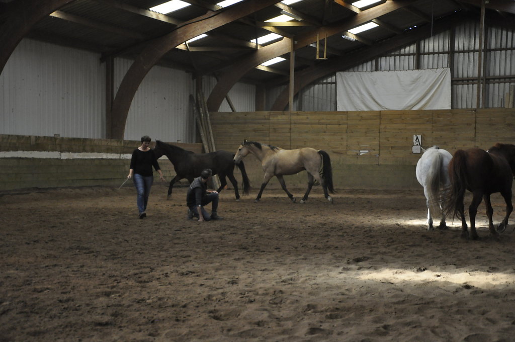 DSC9408.JPG