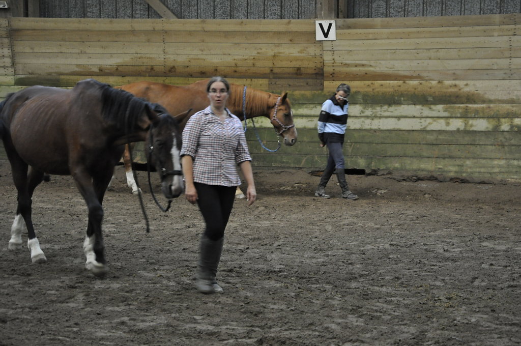 DSC9460.JPG
