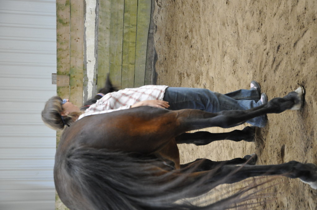 DSC9534.JPG