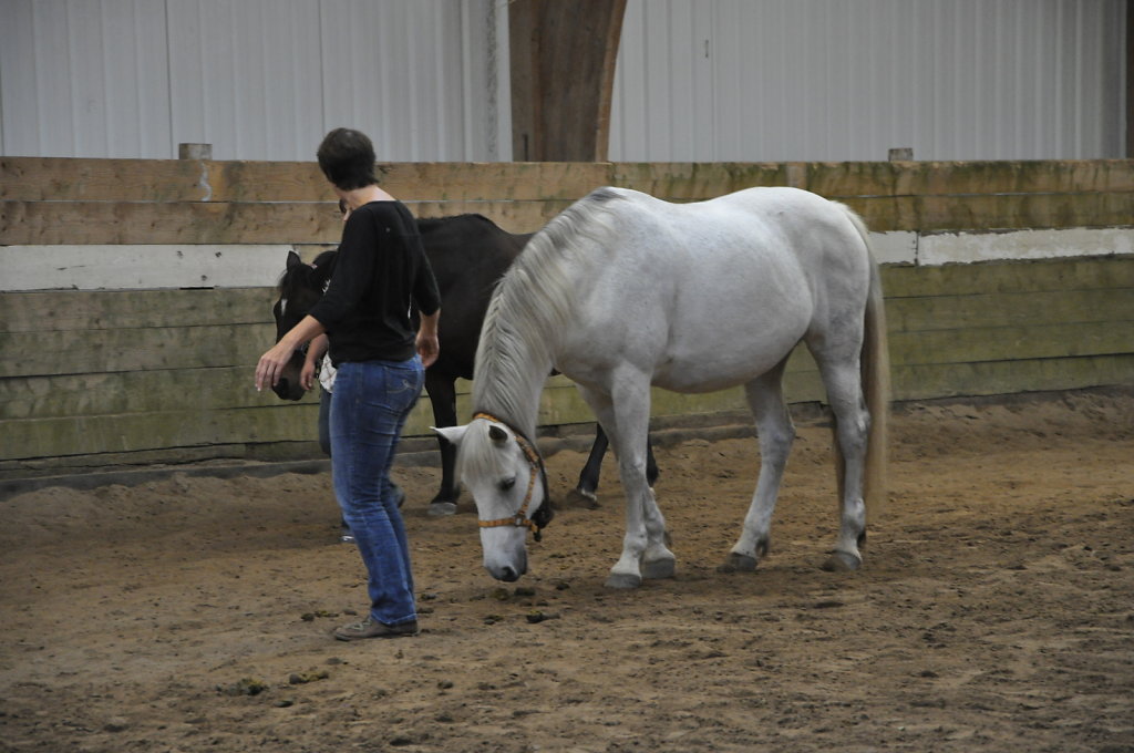 DSC9593.JPG