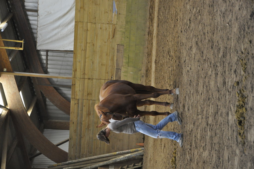 DSC9598.JPG