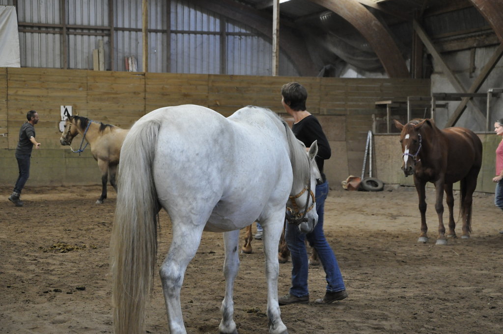 DSC9613.JPG